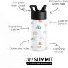 imageSimple Modern Kids Summit Water Bottle with Straw Lid  Blippi 14oz Stainless Steel Cup Insulated Tumbler for Toddlers School  Blippi SpaceRainbow Dream