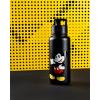 imageSimple Modern Disney Princess Water Bottle with Straw Lid Vacuum Insulated Stainless Steel Metal Thermos  Gifts for Women Reusable Leak Proof Flask  Summit Collection  32oz Seal of a PrincessDisney Its Me  Mickey