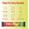 imageTREVI Sugar Free Electrolytes  Drink Mix Hydration Powder Packets  28 Count  RaspberryStrawberry Kiwi