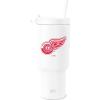 Detroit Red Wings