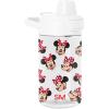 Disney: Minnie Mouse Fun Disney: Minnie Mouse Fun