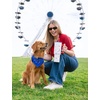image:imageSimple Modern 40 oz Trek Tumbler with Handle and Straw Lid  Cup Holder Friendly Insulated Stainless Steel Travel Mug  Raspberry VibesPattern Patriotic Pets
